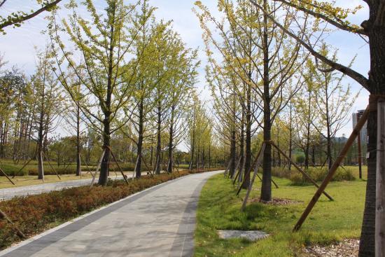 Busan Citizens Park