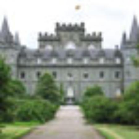 Gammandong Harvest Tripes